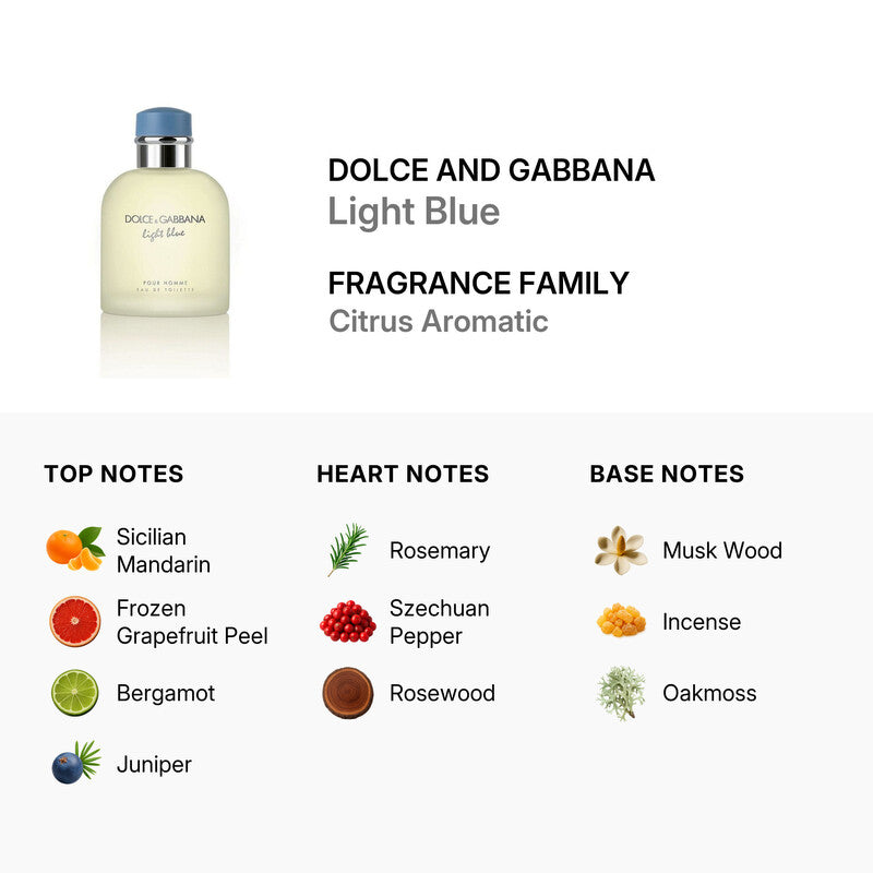 Dolce and Gabbana Light Blue fragrance bottle with fragrance family details on a white background