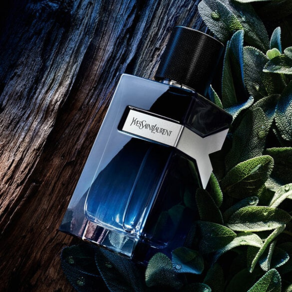 YSL perfume bottle on a wooden surface with green leaves